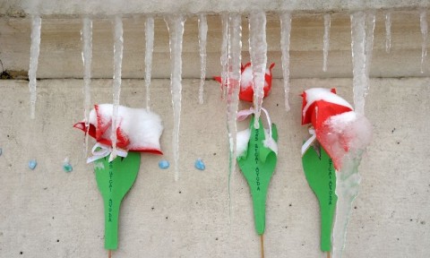 Havas nemzeti ünnep Szegeden (Havas nemzeti ünnep Szegeden)