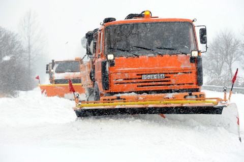 Hokotro(1)(960x640)(5).jpg (hó, hókotró)