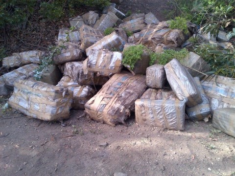 Marihuána szállítmány (marihuána, csomag, )