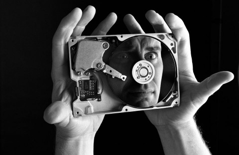 Merevlemez (merevlemez, )