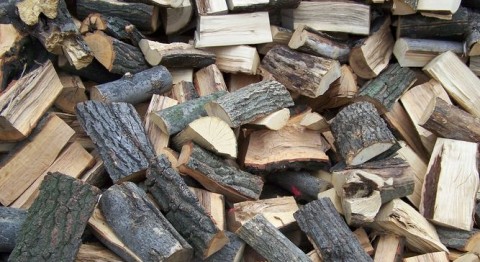 Tűzifa (tűzifa)