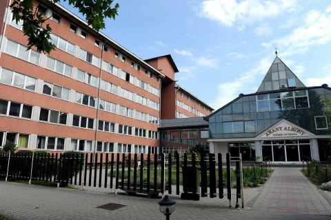 arany-alkony(2)(960x640)(1).jpg (arany alkony)