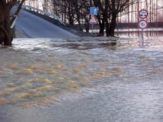 árvíz (árvíz 2010,)