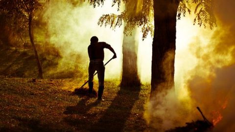 avarégetés (avarégetés)