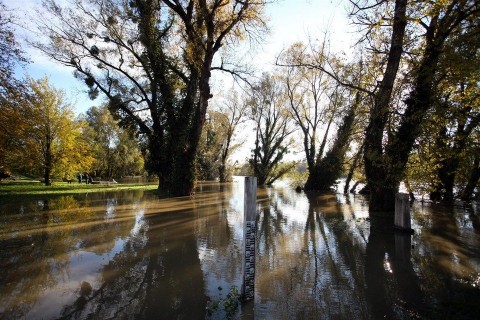 drava-aradas(1)(960x640)(1).jpg (dráva, áradás, )