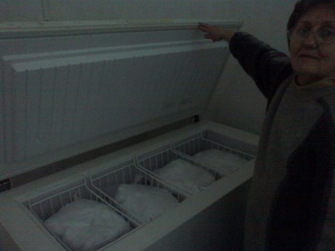 fagyasztó (fagyasztó)