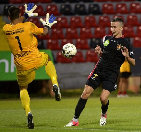 hegedüs lajos (hegedüs lajos, vernes richárd, )