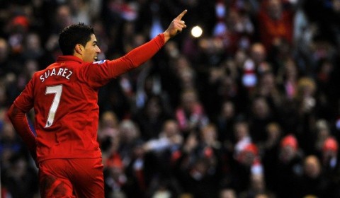 luis suarez, liverpool (luis suarez, )