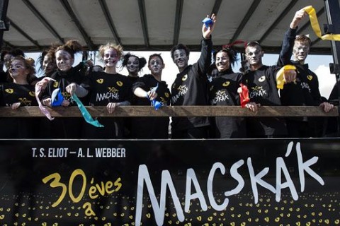 macskák 30 éves (macskák, t.s. eliot)