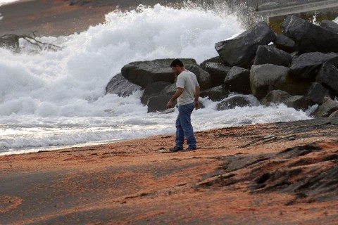 rákpusztulás (rákpusztulás)