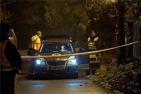 szen-monoxid-mergezes(1)(960x640)(1).jpg (szén-monoxid-mérgezés)