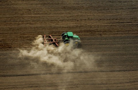 termőföld (föld, termőföld, )