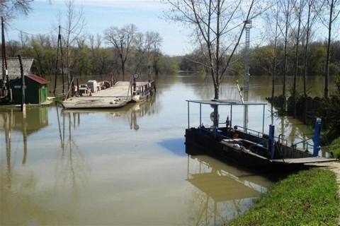 A-tapei-komp-(960x640).jpg (A tápéi komp)