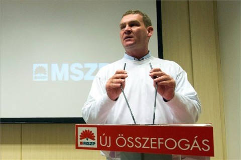 Botka-Laszlo(210x140)(4).jpg (botka lászló, mszp választmány, )