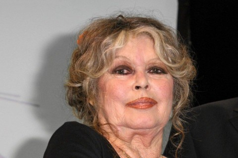 Brigitte Bardot (Brigitte Bardot)