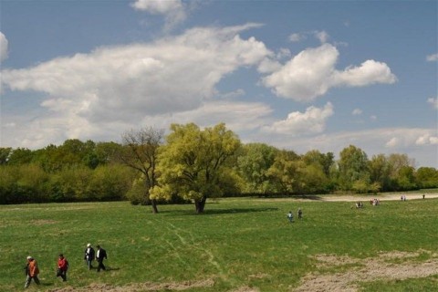 Gemenc(960x640).jpg (Gemenc)