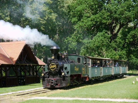 Gemenci kisvasút (Gemenci kisvasút)