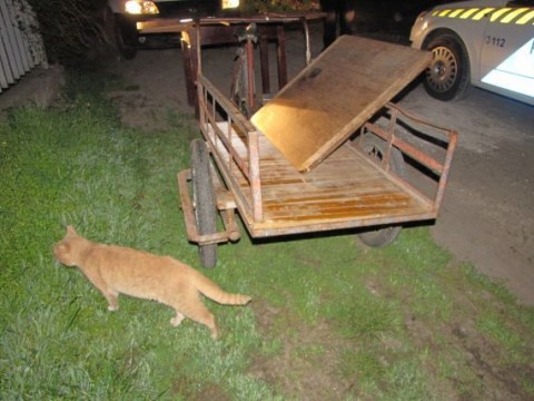 Lopás Szegeden (Lopás Szegeden)