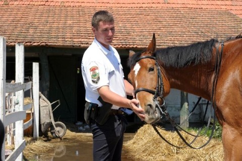 Lovas rendőr (Lovas rendőr)