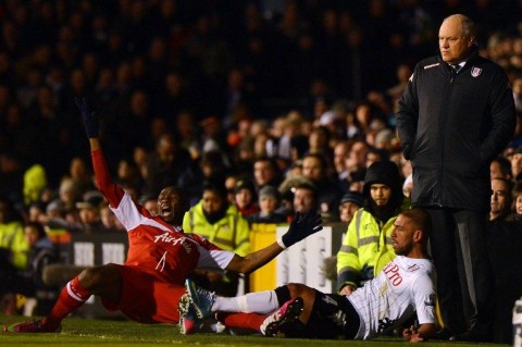 Martin Jol (martin jol, fulham, )