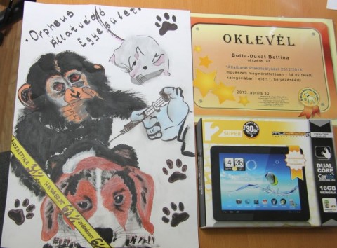 Rajzpályázat (Rajzpályázat)