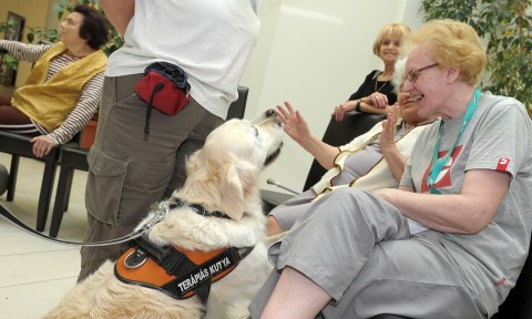 Terápiás kutyák egy szegedi idősek otthonában (Terápiás kutyák egy szegedi idősek otthonában)