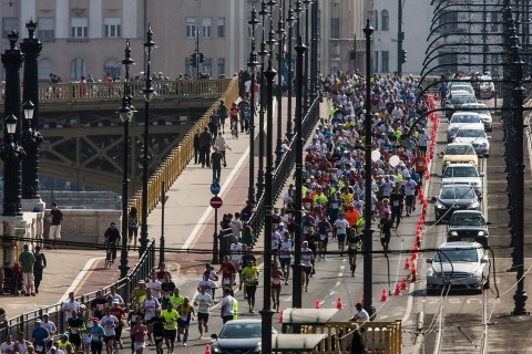 Vivicittá (vivicittá, )