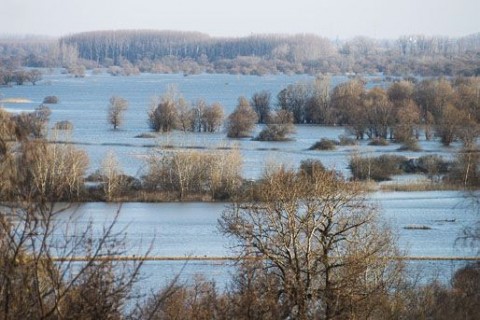 árvíz a bodrogközben (árvíz, bodrogköz)