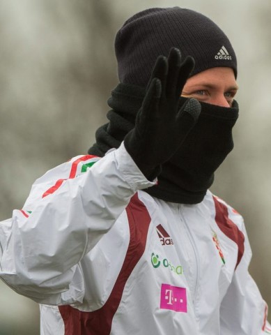 dzsudzsák balázs (dzsudzsák balázs, )