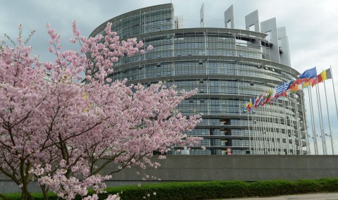 európai parlament (európai parlament)