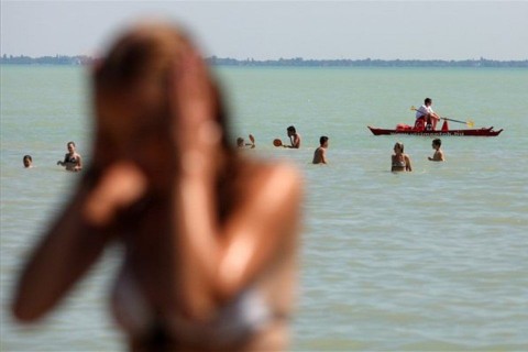 kánikula (ingyenes, )