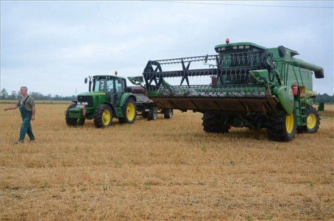 kombájn, aratás (aratás, kombájn, )