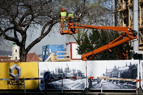 kossuth téri fák (kossuth tér, favagás)