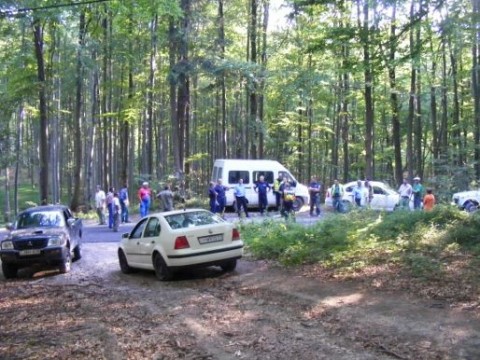 kutatás (kutatás, elveszett, eltűnt, )