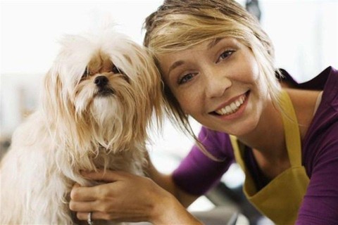 kutya(1)(960x640).jpg (kutya, )