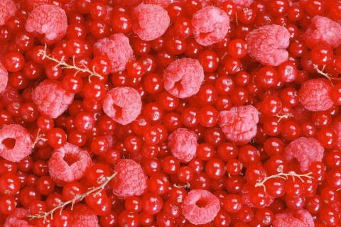 málna-ribizli (málna, ribizli)