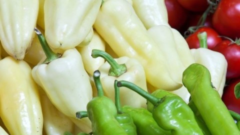 paradicsom-paprika (paprika, paradicsom, )