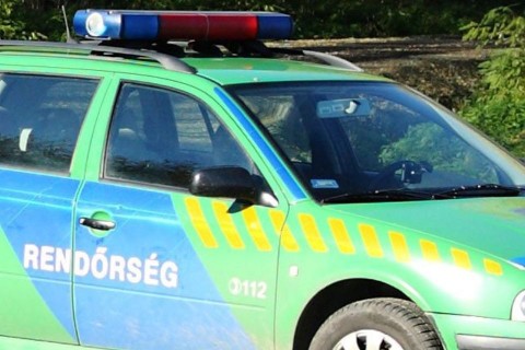 rendőrautó (ingyenes, )