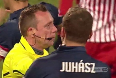 szabó zsolt (szabó zsolt, )