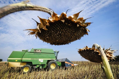 szárazság (szárazság, )