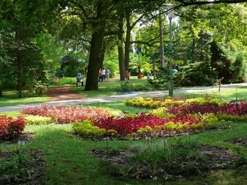 szegedi füvészkert (szegedi füvészkert)