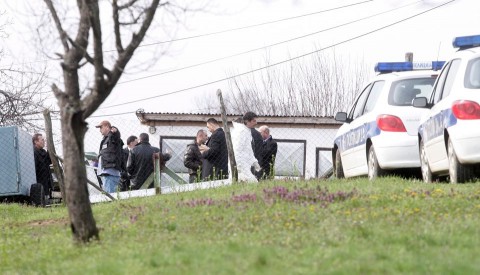 szerb ámokfutó (szerb ámokfutó, Ljubisa Bogdanovic  )