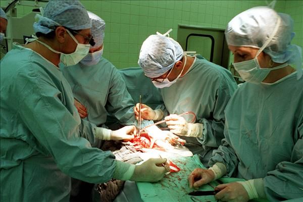 szervátültetés (szervátültetés, transzplantáció, műtét, műtő, orvos, sebész, )
