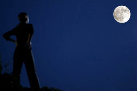 telihold (telihold, )