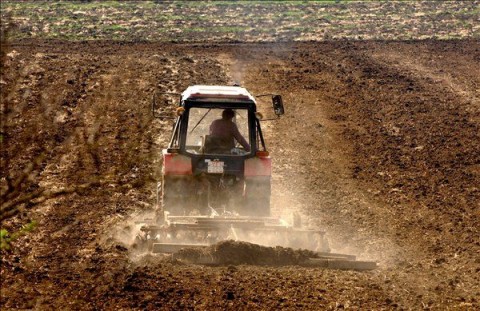 termofold(430x286)(4).jpg (termőföld)