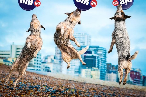 új hír24 (hír24, )