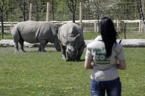 veszprémi állatkert (veszprémi állatkert, )