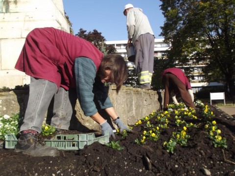 virágosítás Győr (virágosítás Győr)