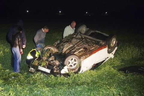 Baleset Szarvasnál (szarvas, baleset)