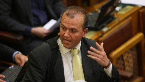 Gaudi-Nagy Tamás (Gaudi-Nagy Tamás)